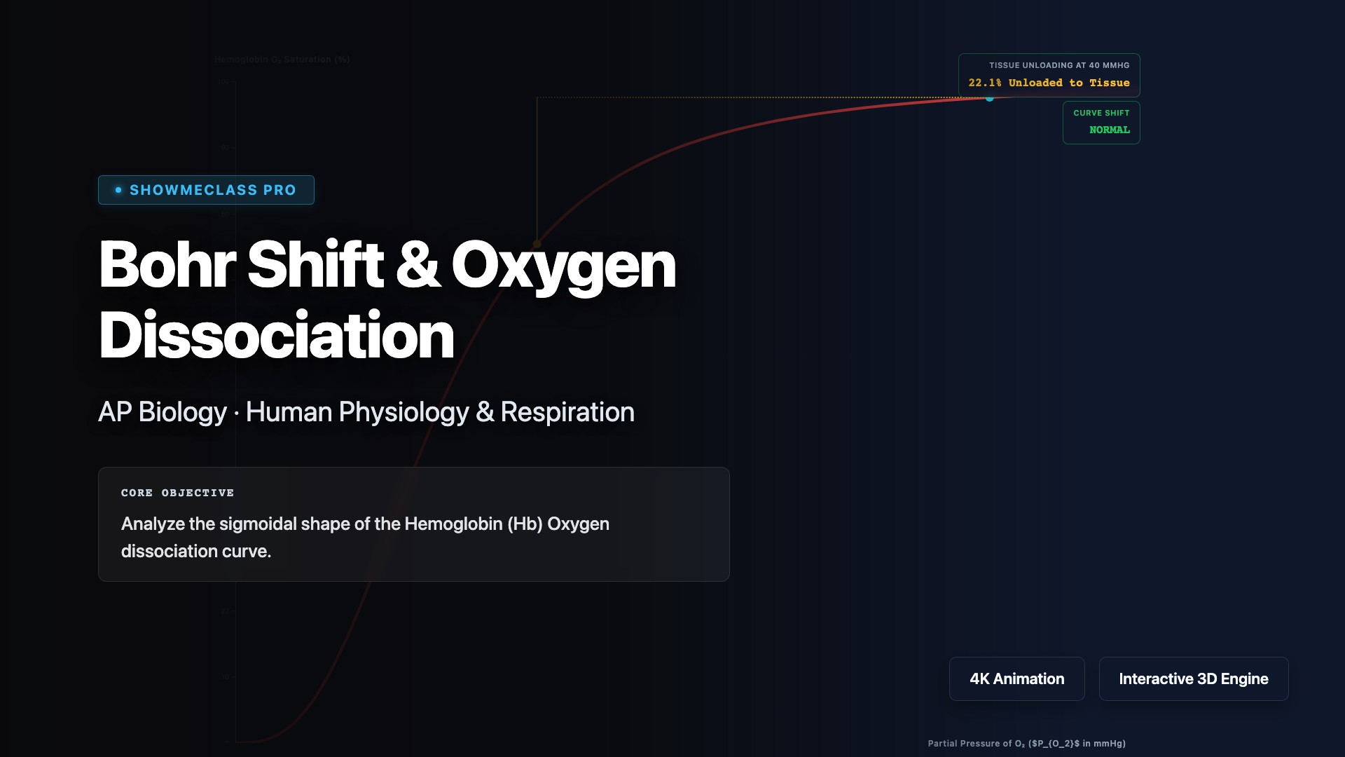 Bohr Shift & Hemoglobin Oxygen Dissociation visualization thumbnail