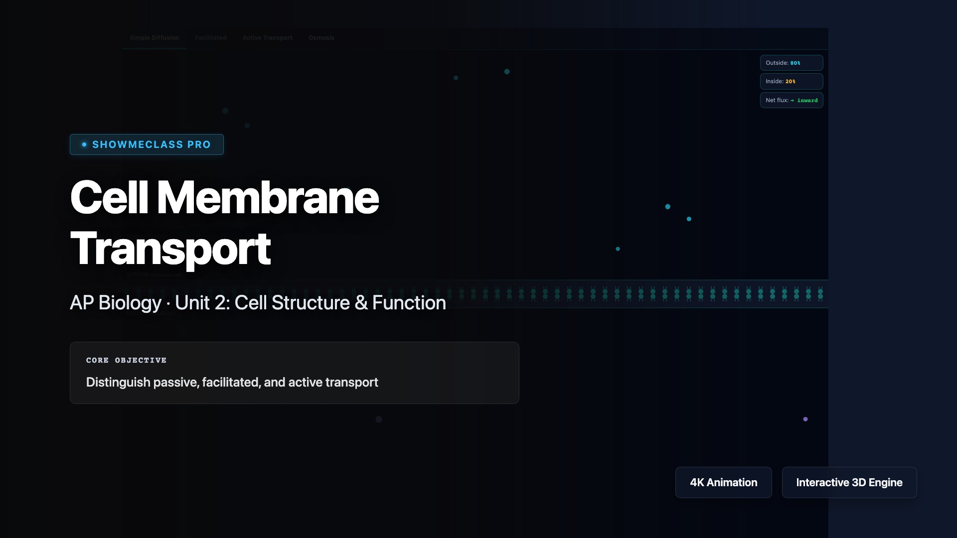 Cell Membrane Transport visualization thumbnail