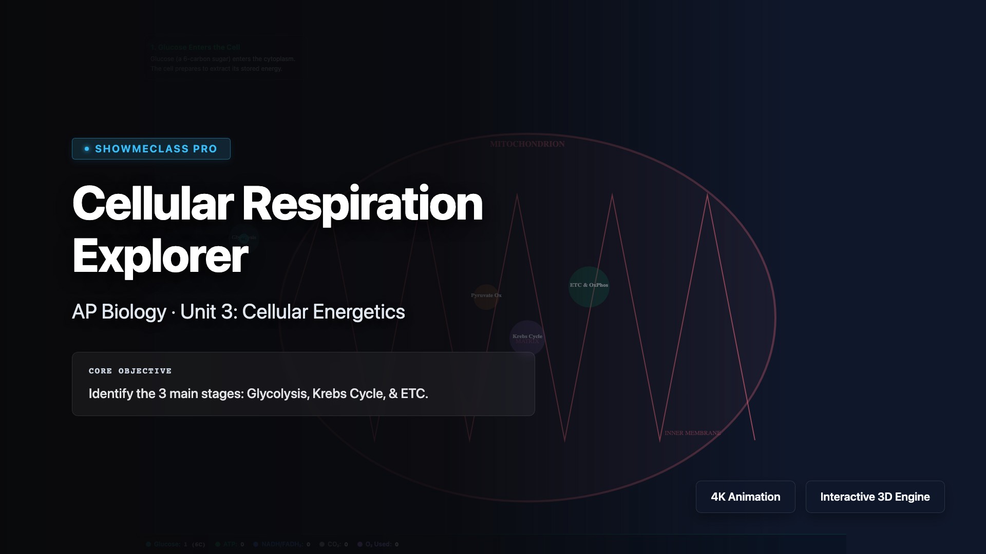 Cellular Respiration Explorer visualization thumbnail