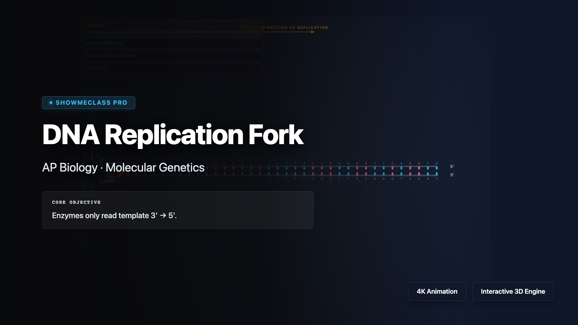 DNA Replication Fork visualization thumbnail