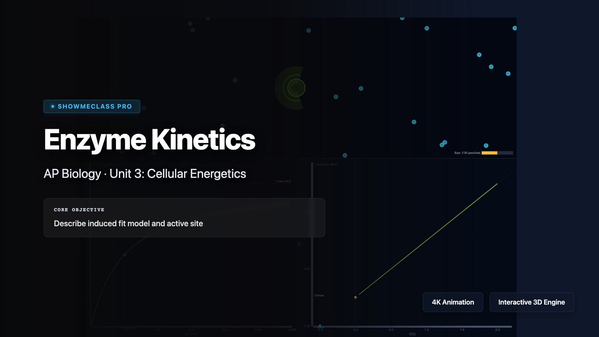 Enzyme Kinetics visualization thumbnail