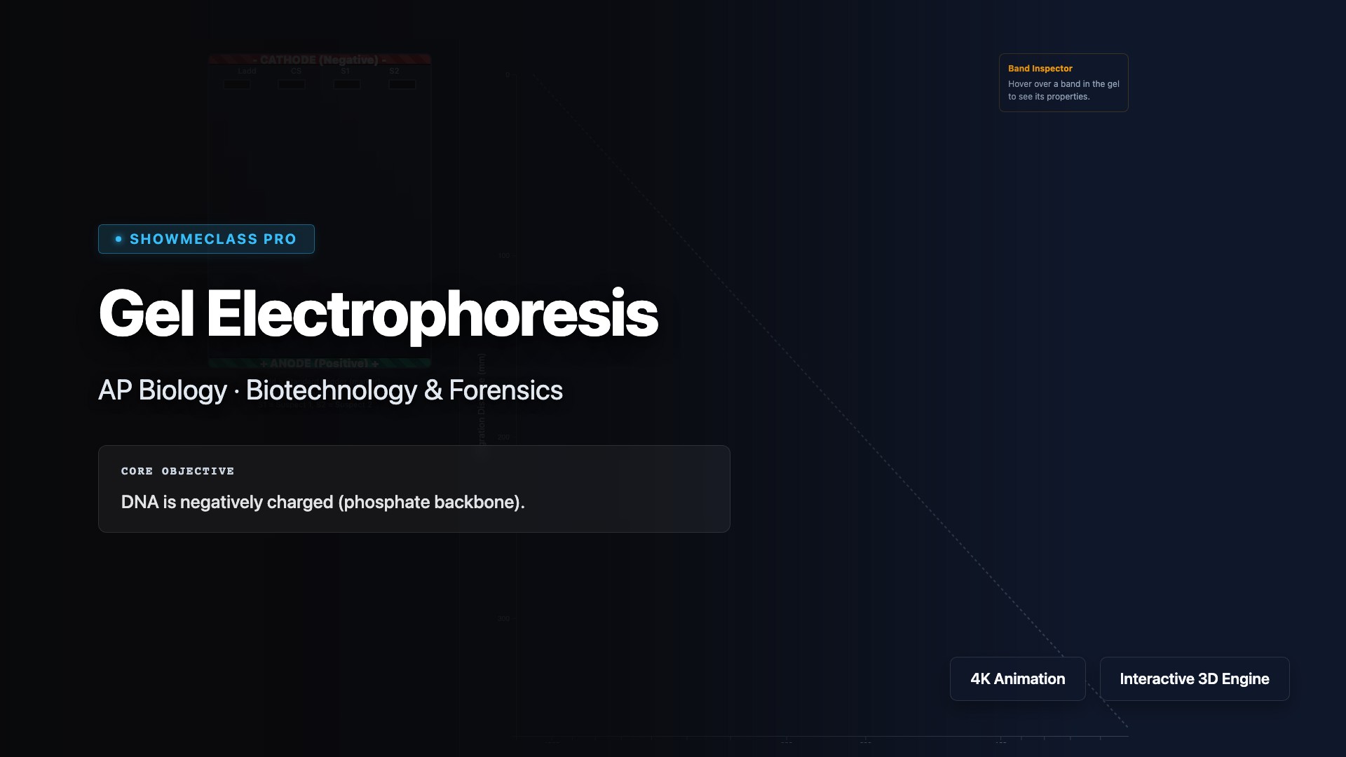 Gel Electrophoresis visualization thumbnail