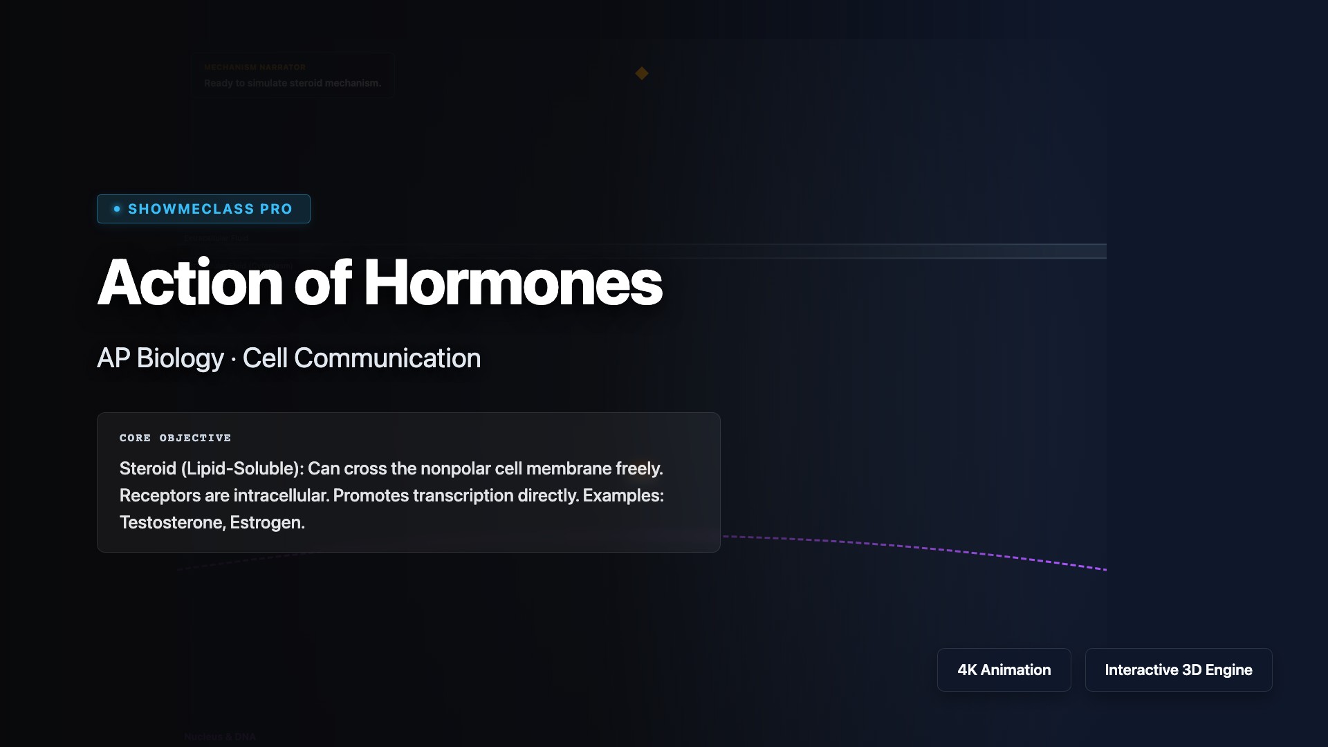 Action of Hormones visualization thumbnail