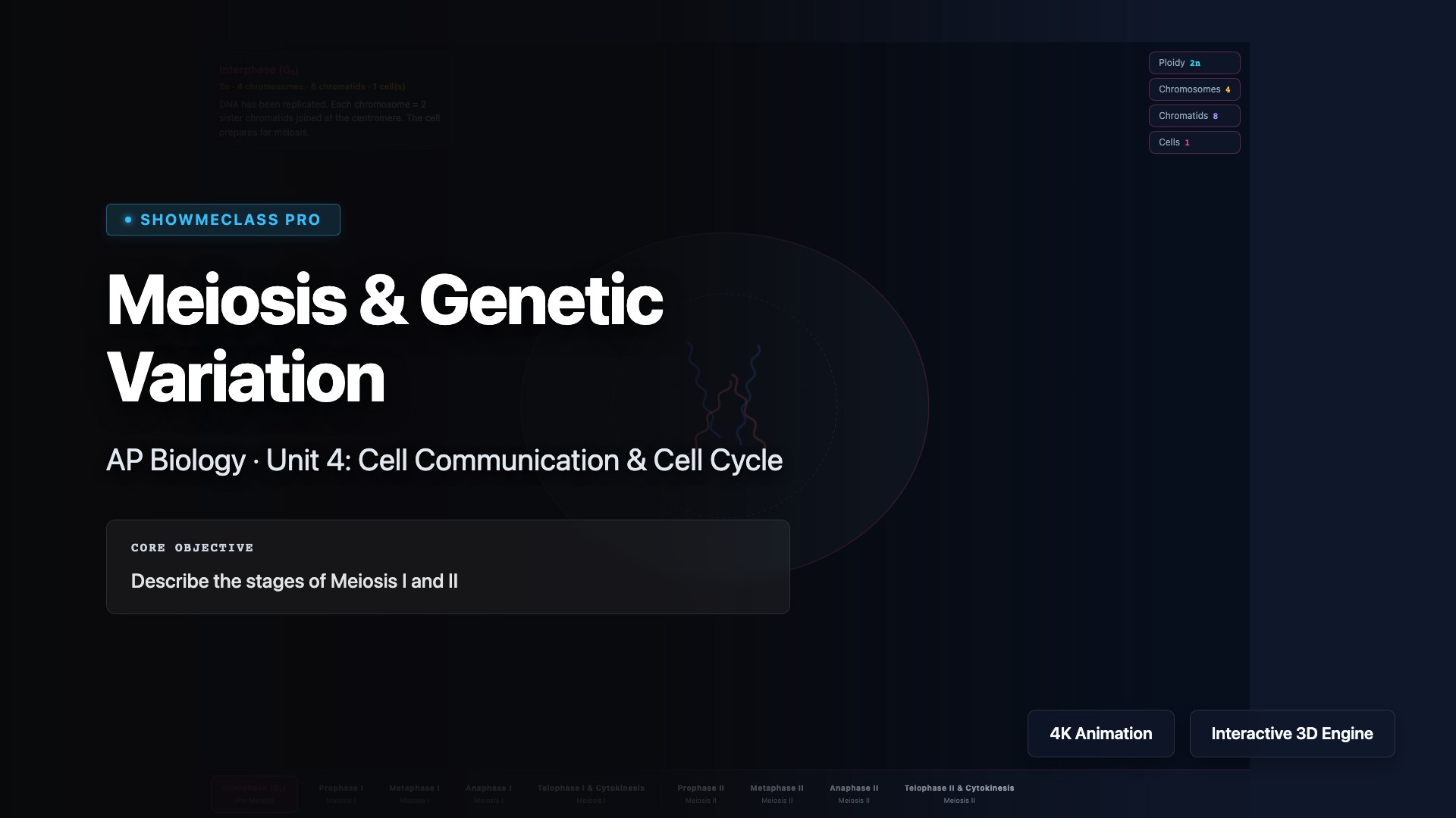 Meiosis &amp; Genetic Variation visualization thumbnail