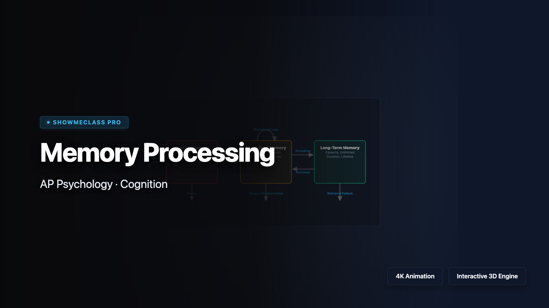 Memory Processing Models visualization thumbnail