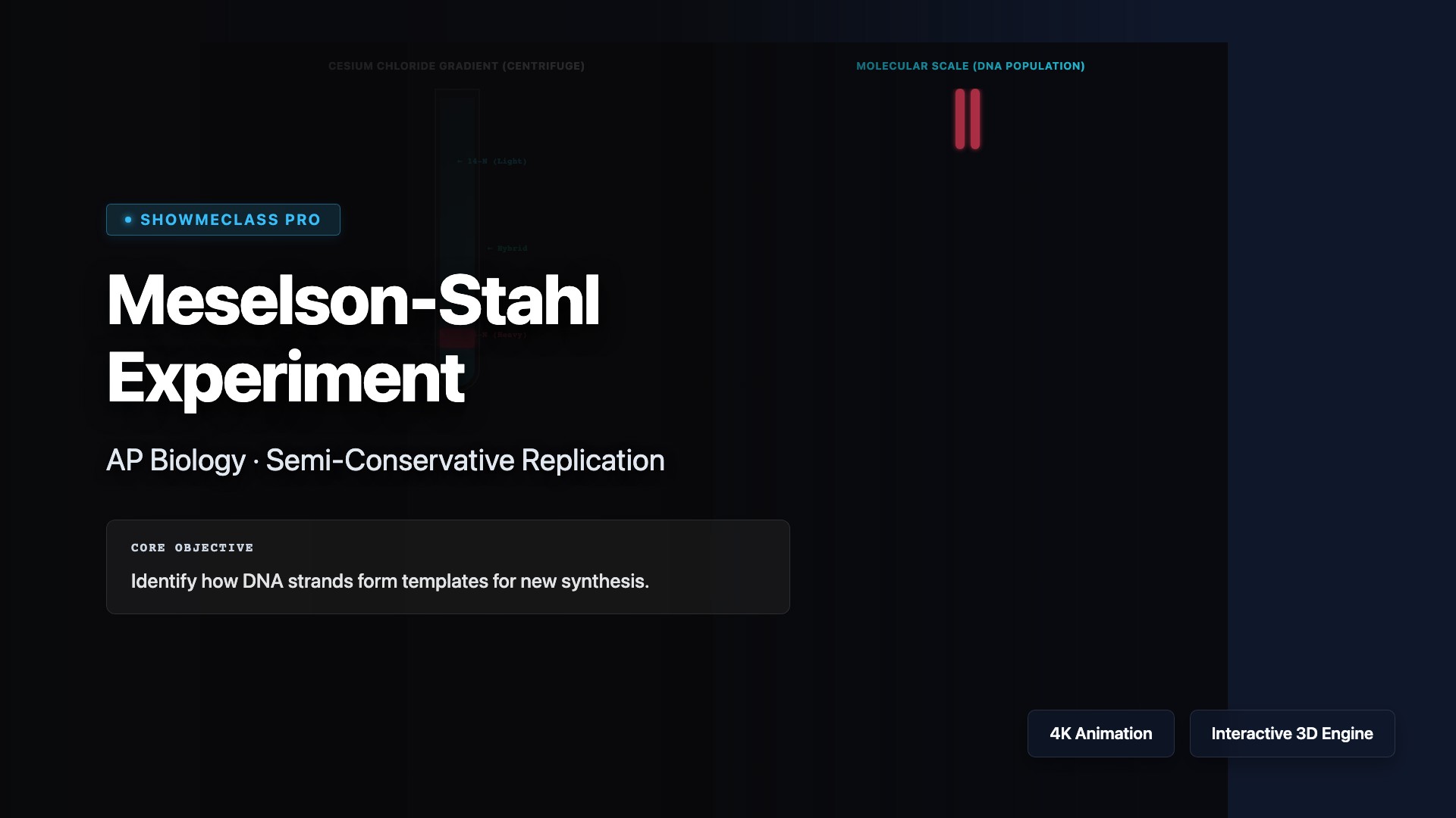 Meselson-Stahl DNA Replication visualization thumbnail