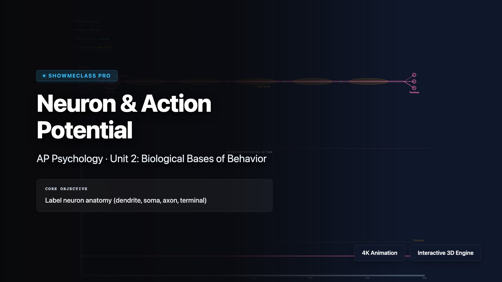 Neuron &amp; Action Potential visualization thumbnail