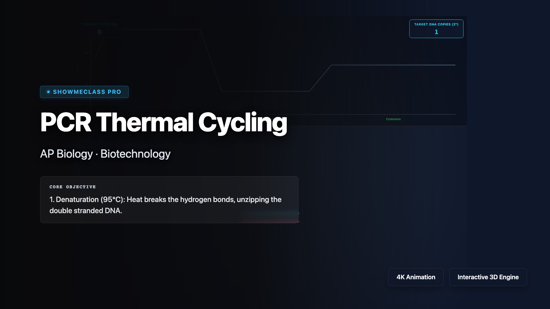 PCR Thermal Cycling visualization thumbnail
