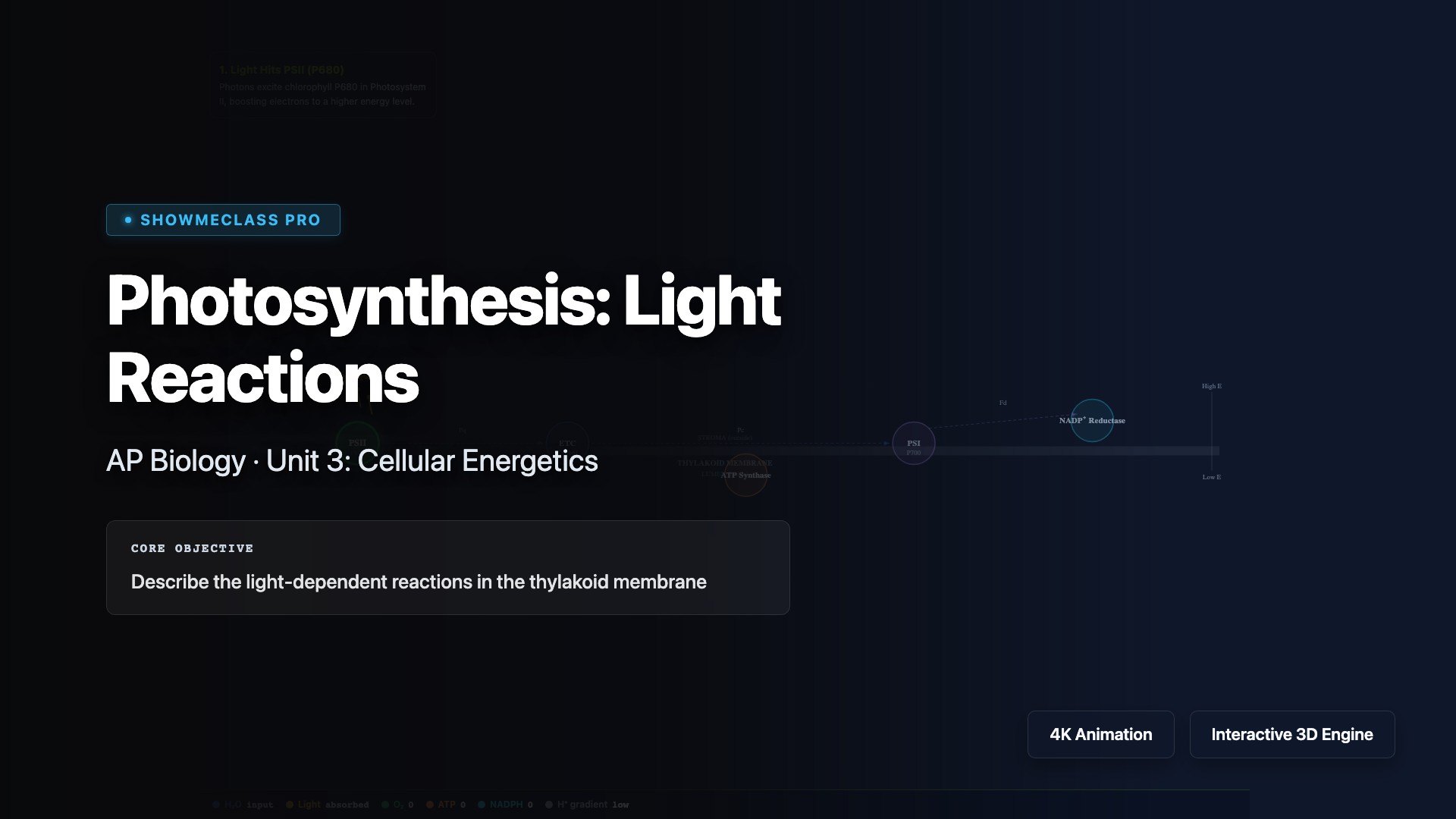 Photosynthesis: Light Reactions visualization thumbnail