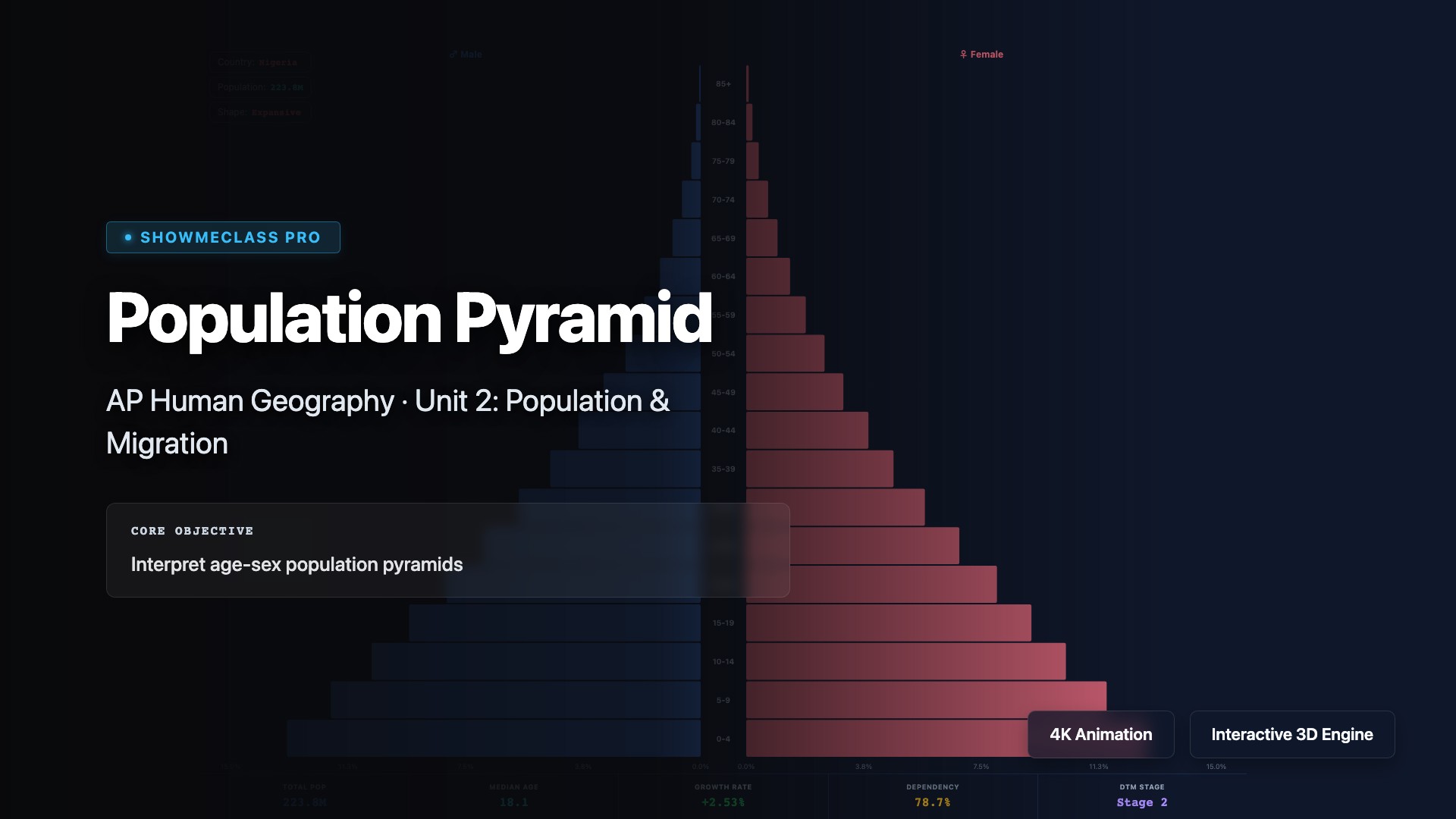 Population Pyramid – AP Human Geography visualization thumbnail