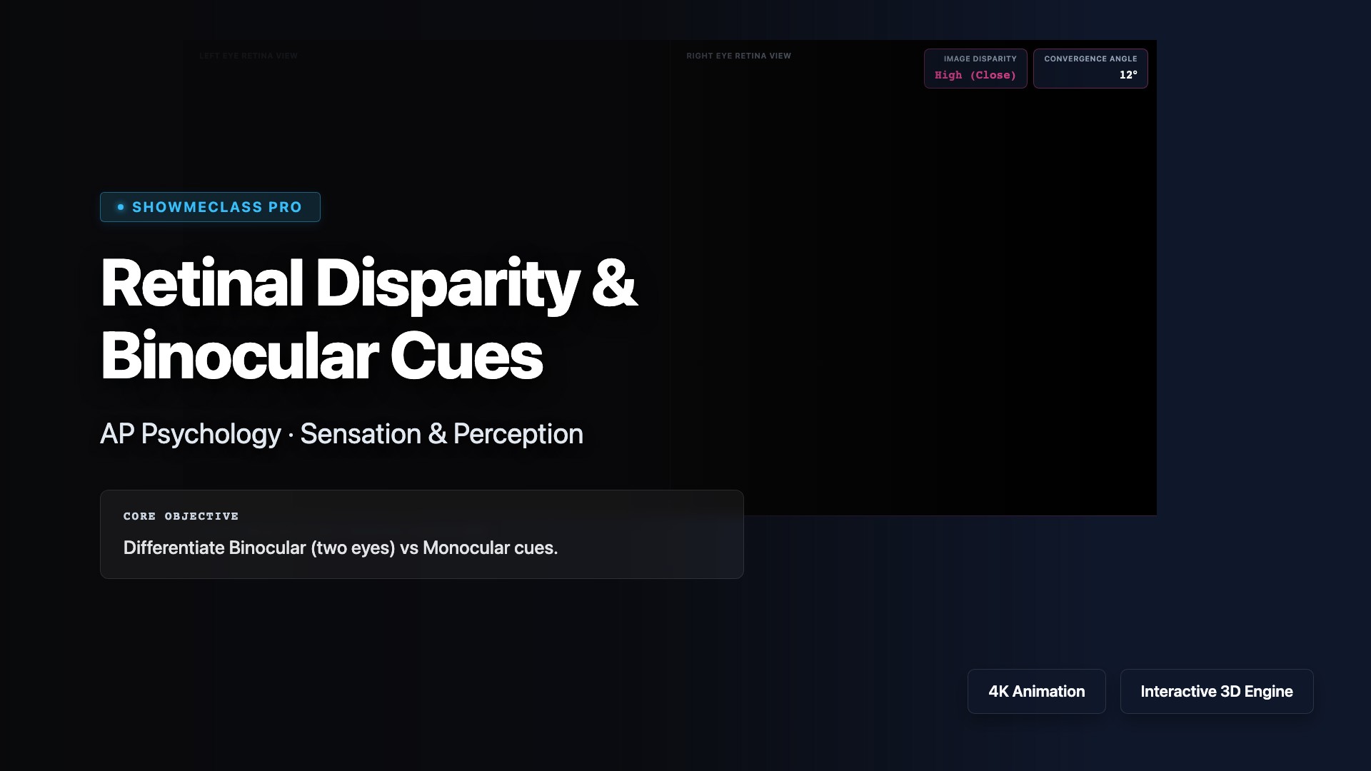Retinal Disparity & Binocular Cues visualization thumbnail