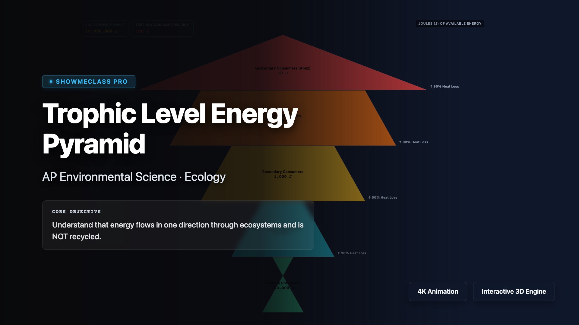 Trophic Energy Pyramid visualization thumbnail